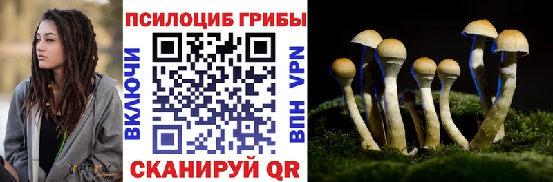 kraken сайт  Холмск  Галлюциногенные грибы ЛСД 