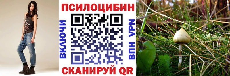 Галлюциногенные грибы прущие грибы Холмск